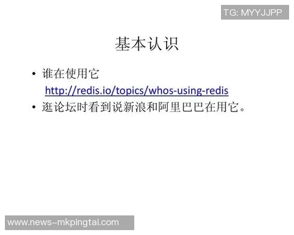 2026年3月份新闻成都羽毛球队战术解析与控制体系构建的深度探讨与实践经验分享